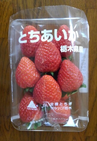 THE MUTUAL+トークルーム