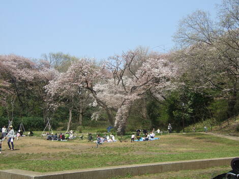 THE MUTUAL+トークルーム