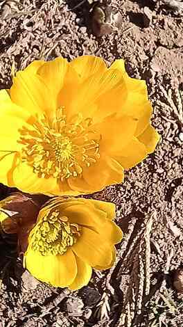 THE MUTUAL+トークルーム