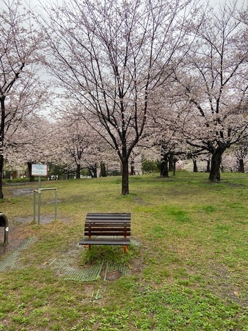 THE MUTUAL+トークルーム