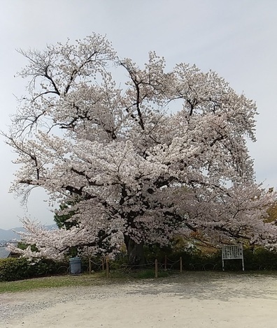 THE MUTUAL+トークルーム