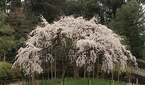 THE MUTUAL+トークルーム