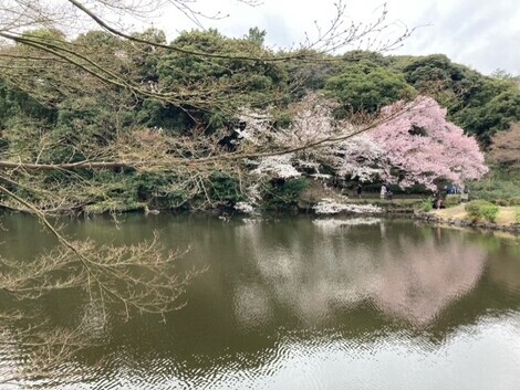 山手線 総合掲示板