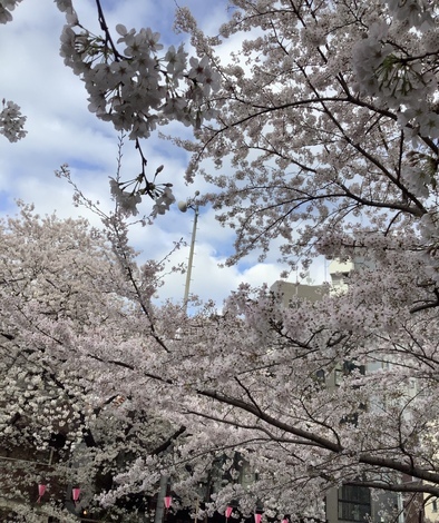 山手線 総合掲示板