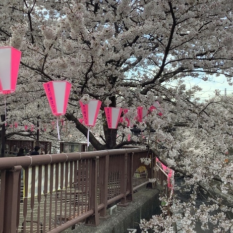 山手線 総合掲示板