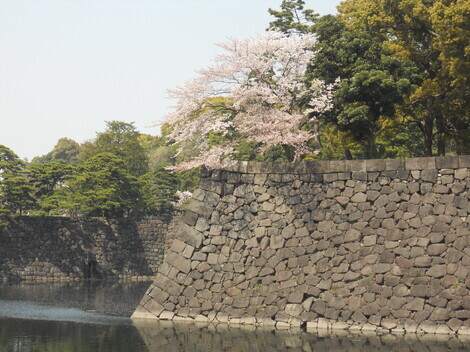 山手線 総合掲示板