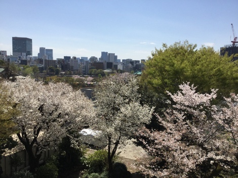 山手線 総合掲示板