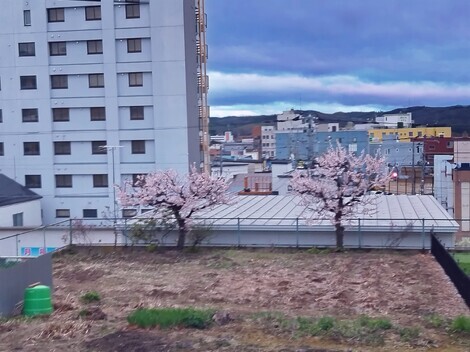 トークルーム