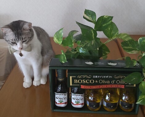 トークルーム
