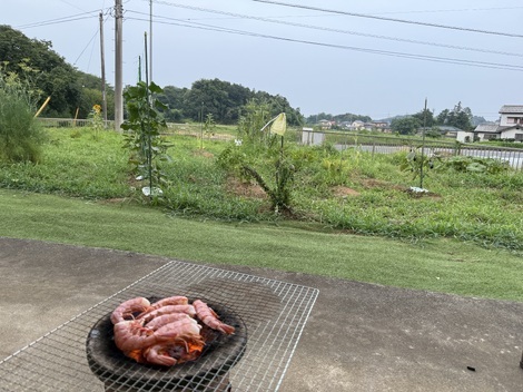 タカラ「焼酎ハイボール」の間