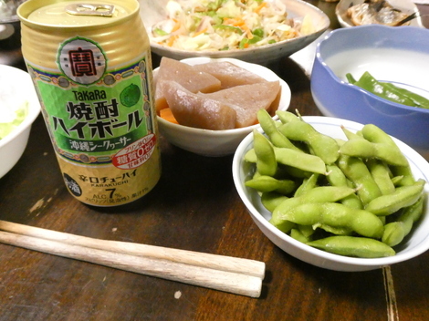 タカラ「焼酎ハイボール」の間