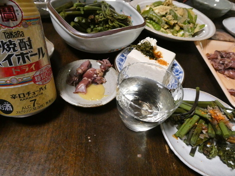 タカラ「焼酎ハイボール」の間
