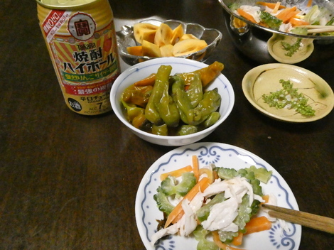 タカラ「焼酎ハイボール」の間