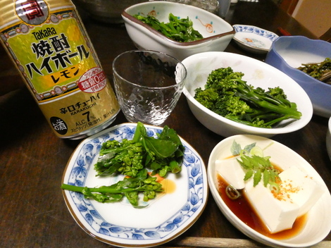 タカラ「焼酎ハイボール」の間