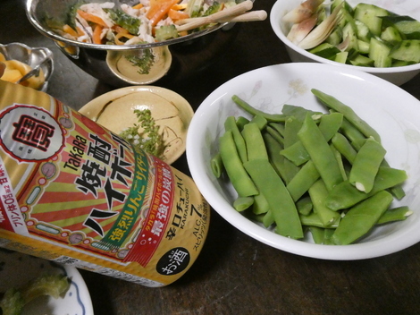 タカラ「焼酎ハイボール」の間