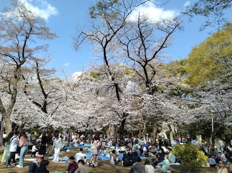 おと、をかしルーム