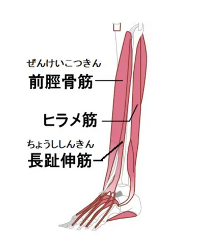 SIXPADルーム