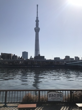 マラソン部