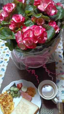 なでしこカフェ