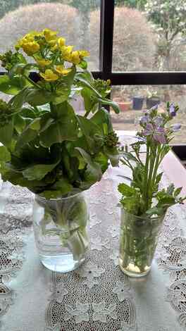 なでしこカフェ