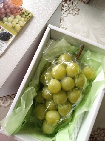 ムスボと話そう!