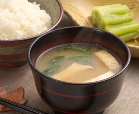 ムスボと話そう！