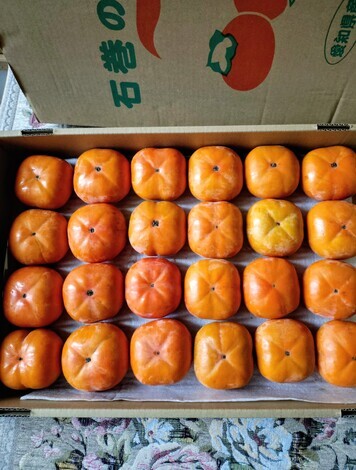 ムスボと話そう!