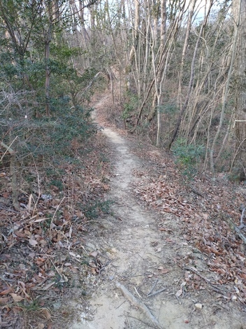 登山部