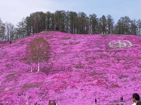 登山部