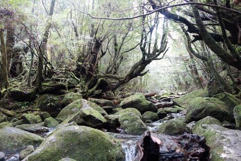 登山部