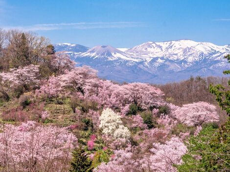 登山部