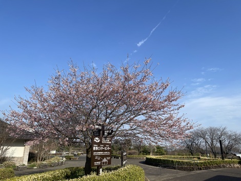 登山部