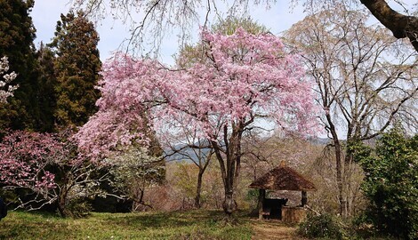 登山部