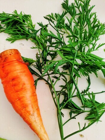 これからデリカ!コミュニティ