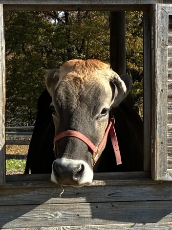 知っトク！ふるさと納税
