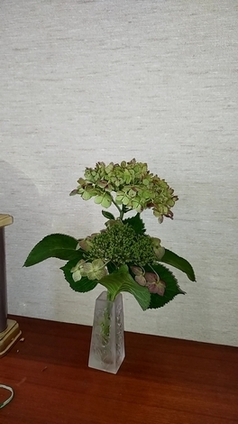 たまご大好き！コミュニティ