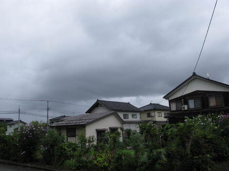季節の風景と花たち。
