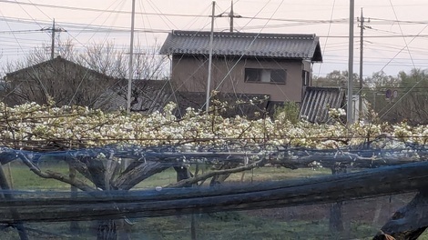 山形コミュニティ