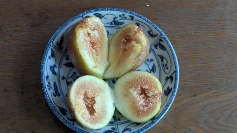 山形コミュニティ