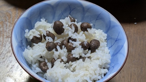 山形コミュニティ