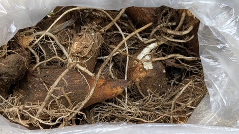 山形コミュニティ