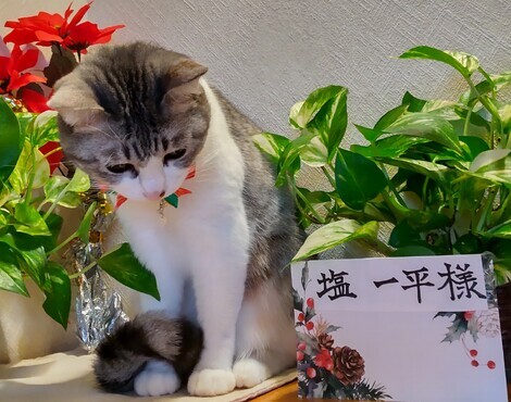 山形コミュニティ