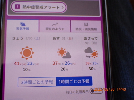 山形コミュニティ