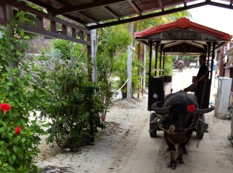 山形コミュニティ