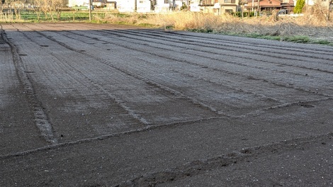 山形コミュニティ