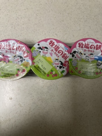 プレママ（初期・中期）サークル