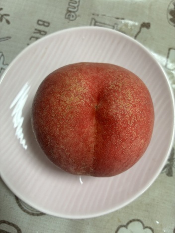 えがおの輪トークルーム