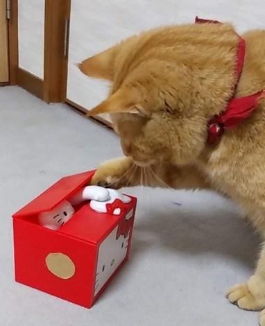 えがおの輪トークルーム