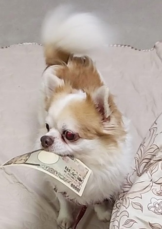 えがおの輪トークルーム