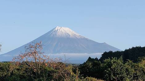 はたらくみんなの部屋